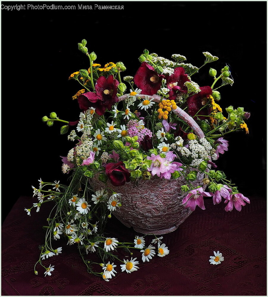 Plant, Ikebana, Flower, Flower Arrangement, Vase
