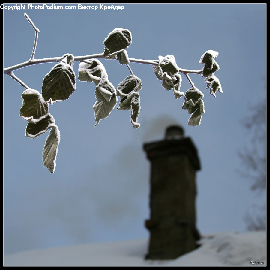 Frost, Ice, Outdoors, Snow, Lamp Post, Pole, Building