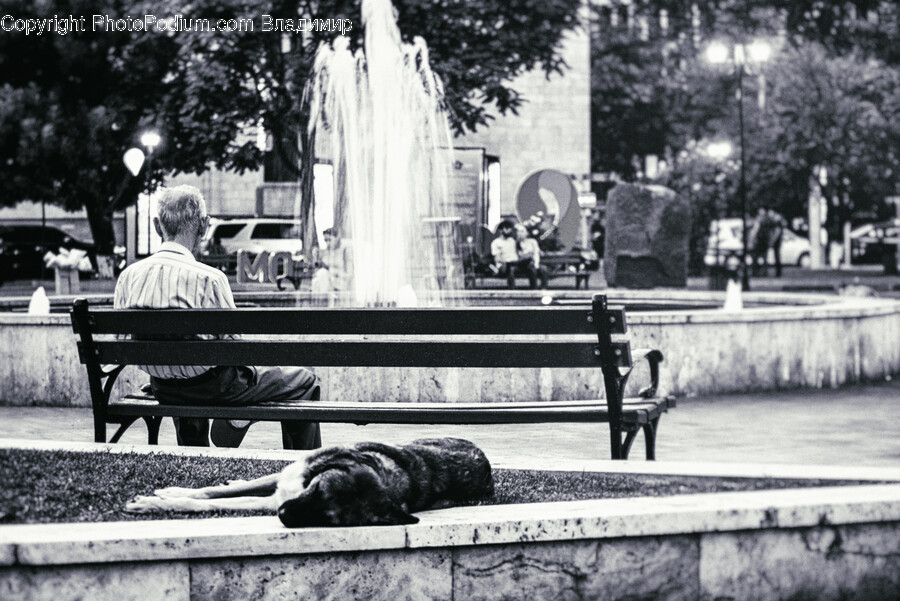 Bench, Furniture, Water, Person, Human