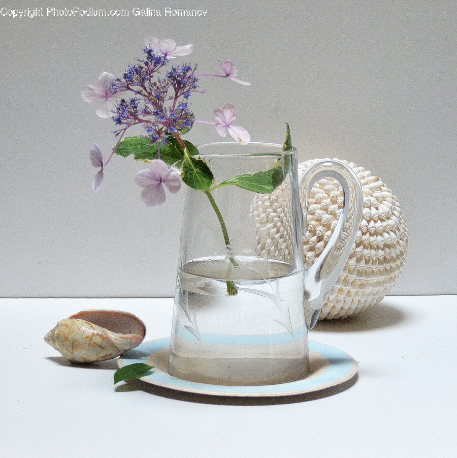Plant, Jug, Pottery, Flower Arrangement, Flower