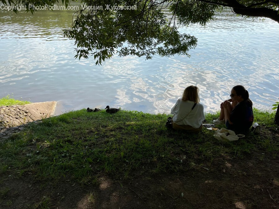 Person, Human, Sitting, Water, Outdoors