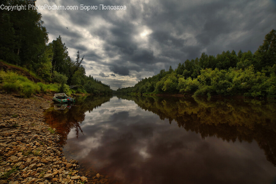 Nature, Water, Outdoors, Fir, Abies