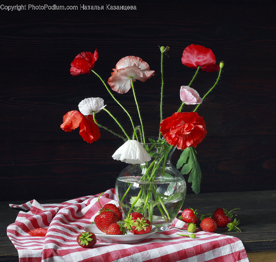 Plant, Ikebana, Flower, Flower Arrangement, Vase