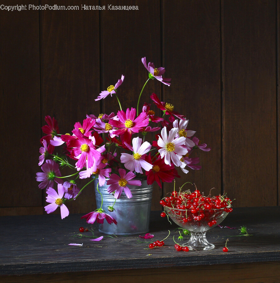 Ikebana, Plant, Flower Arrangement, Flower, Vase