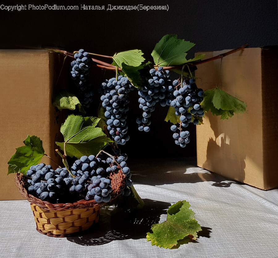 Plant, Grapes, Fruit, Food, Blueberry