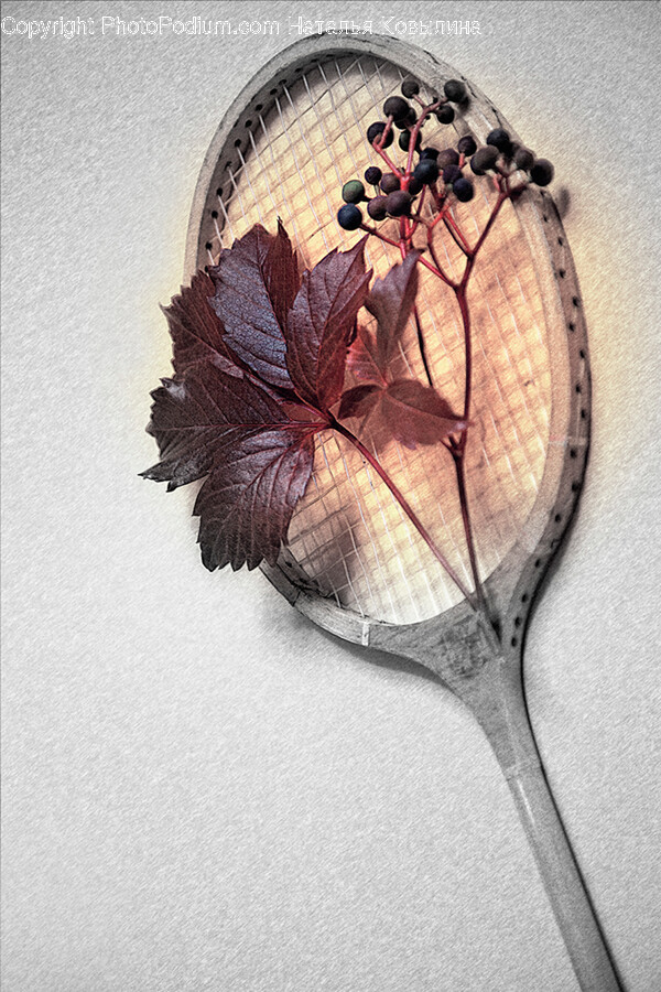 Plant, Leaf, Glass, Goblet, Tennis Racket