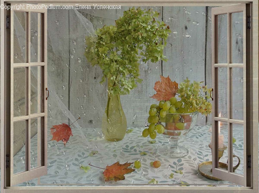 Plant, Shop, Window Display, Glass, Painting