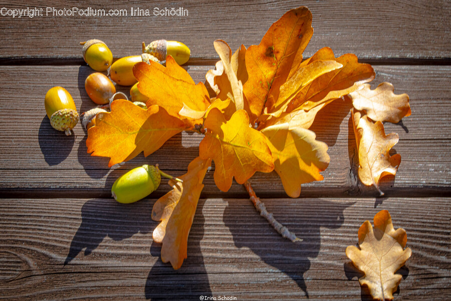 Leaf, Plant, Produce, Food, Vegetable