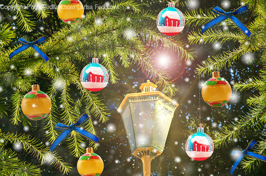 Tree, Plant, Christmas Tree, Ornament, Fir