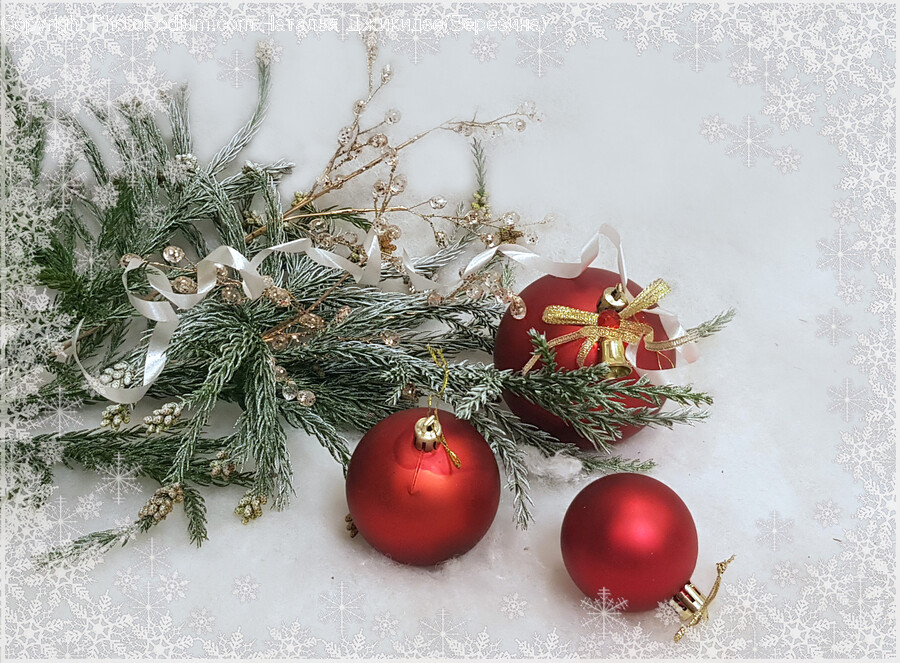 Ornament, Tree, Plant, Christmas Tree, Winter