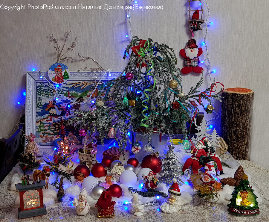 Christmas Tree, Plant, Ornament, Tree, Crowd