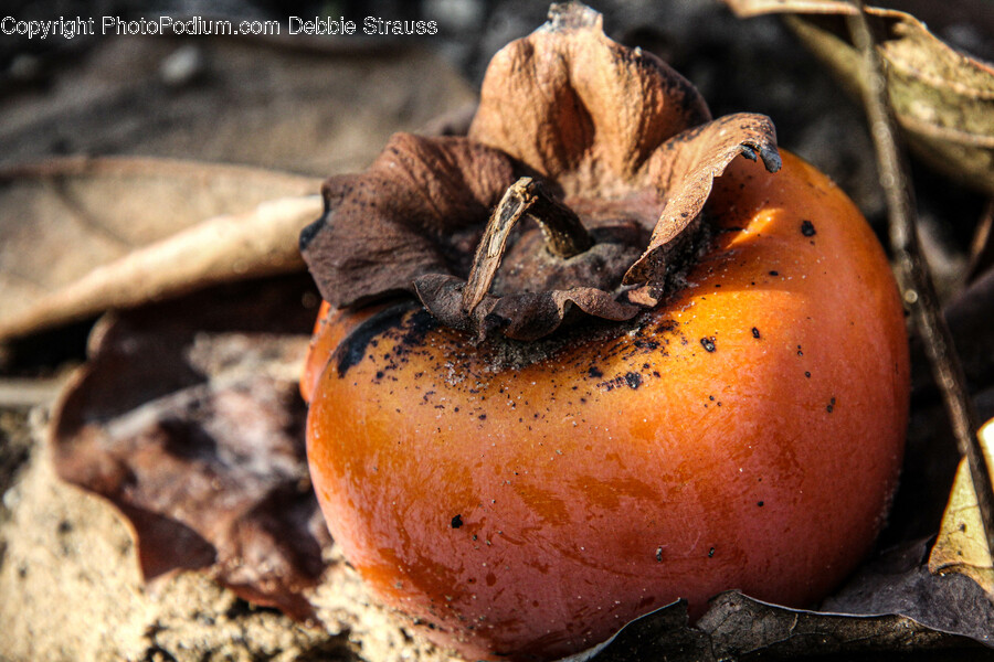 Plant, Produce, Food, Fruit, Persimmon