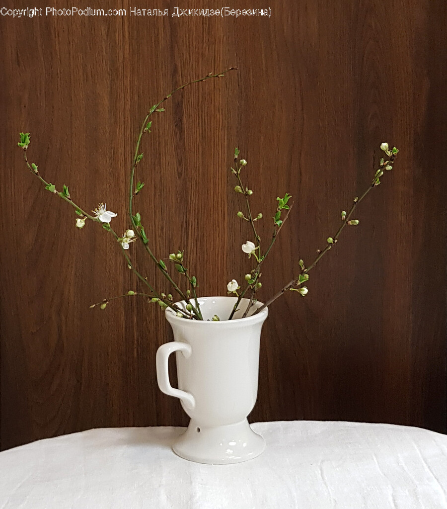 Plant, Pottery, Ikebana, Ornament, Flower