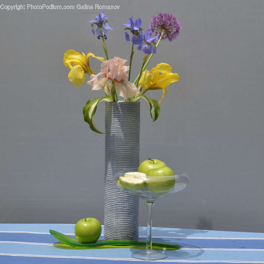 Plant, Ikebana, Flower, Vase, Flower Arrangement