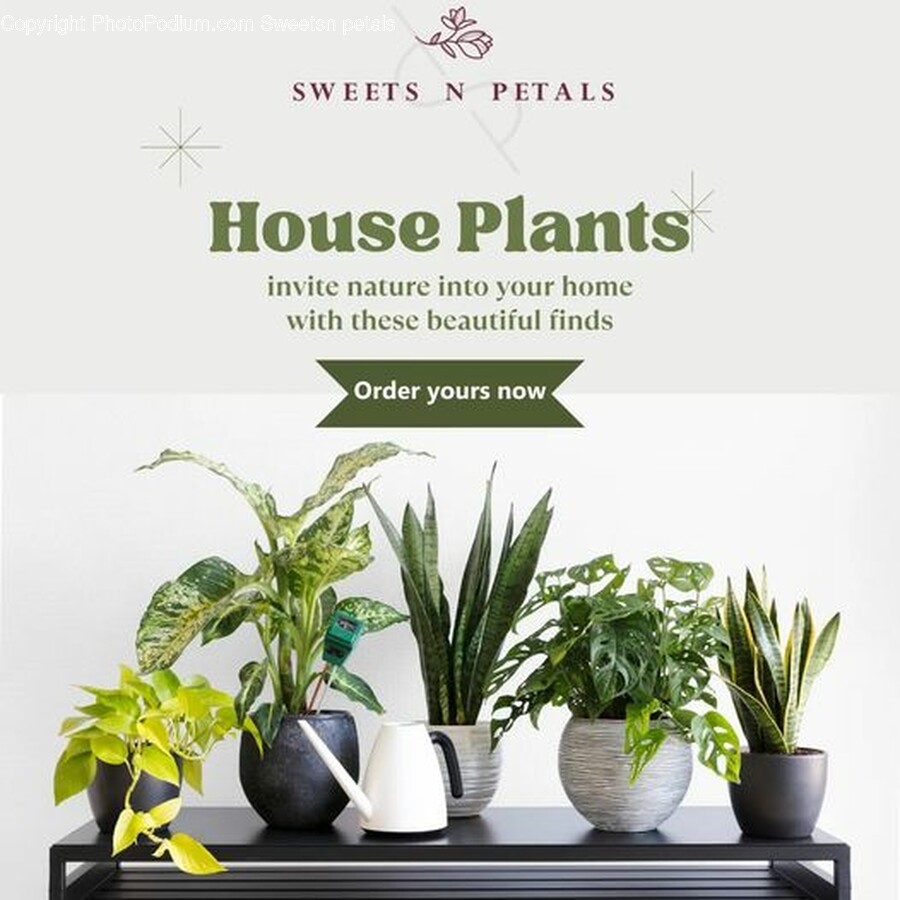 Plant, Flyer, Brochure, Advertisement, Poster