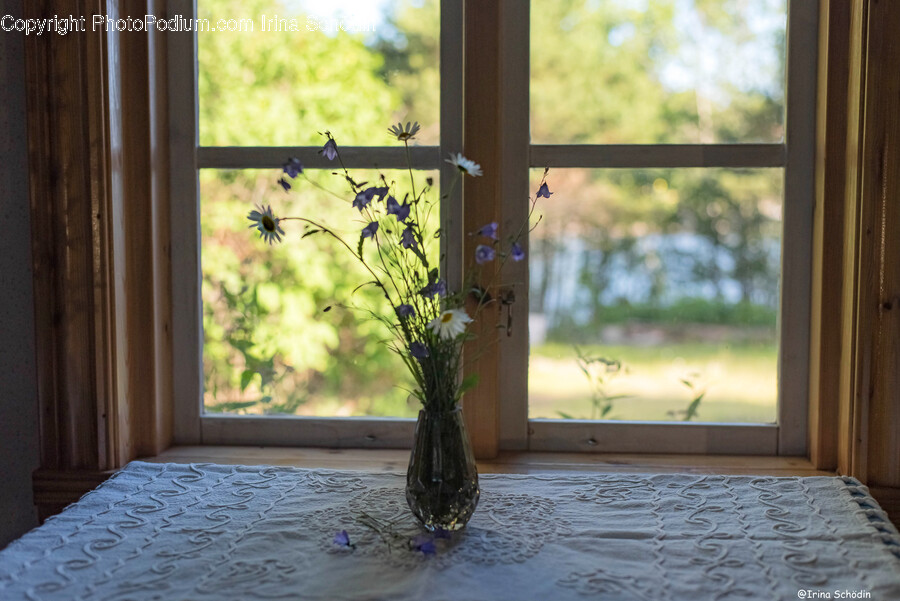 Flooring, Plant, Window, Flower, Blossom