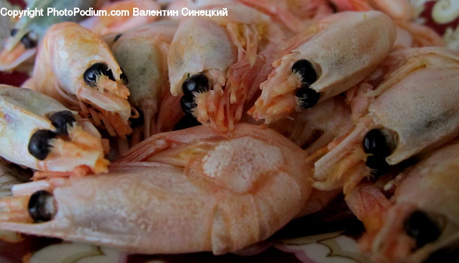 Crab, Invertebrate, Sea Life, Seafood, Food, Shrimp, Dessert
