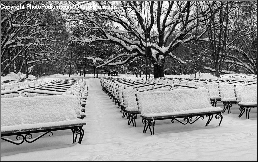 Bench, Ice, Outdoors, Snow, Furniture