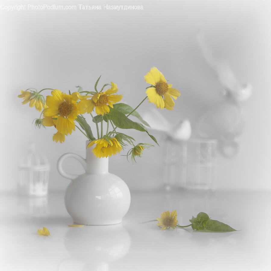 Vase, Jar, Pottery, Plant, Flower
