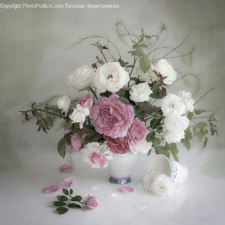 Plant, Flower, Blossom, Flower Arrangement, Flower Bouquet
