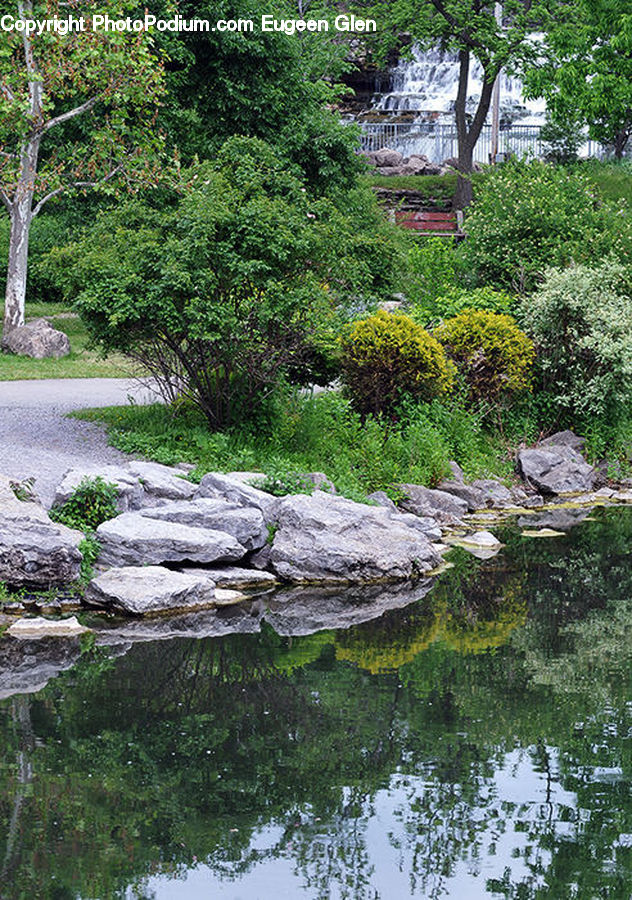 Outdoors, Pond, Water, Bench, Yard, Garden, Forest