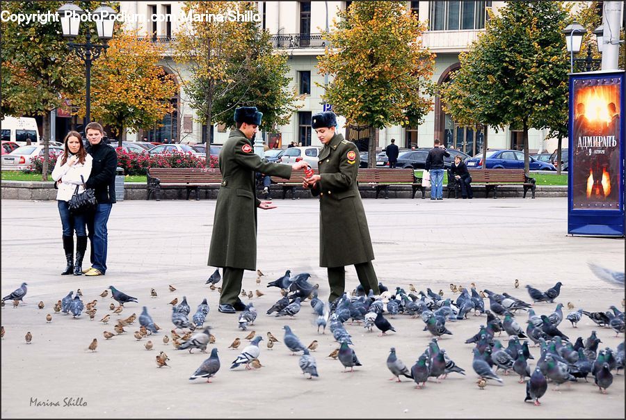 People, Person, Human, Bird, Pigeon, Coat, Female