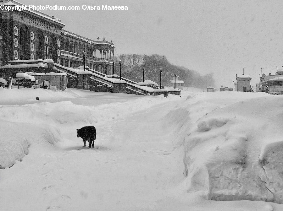 Blizzard, Outdoors, Snow, Weather, Winter, Ice, Battleship