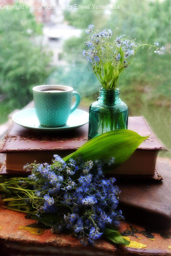 Cup, Herbal, Herbs, Plant, Flower Arrangement