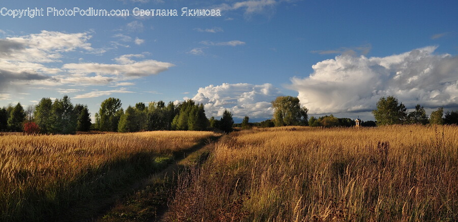 Grassland, Field, Outdoors, Nature, Sky