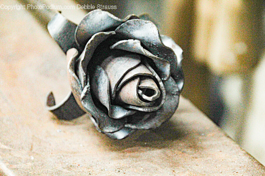 Rose, Flower, Plant, Accessories, Jewelry