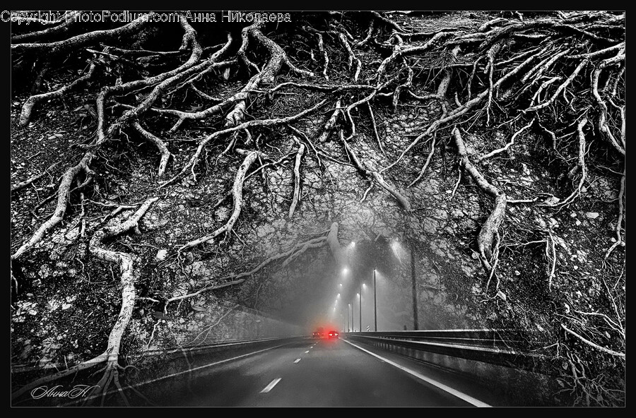 Road, Tunnel, Tree, Plant, Highway