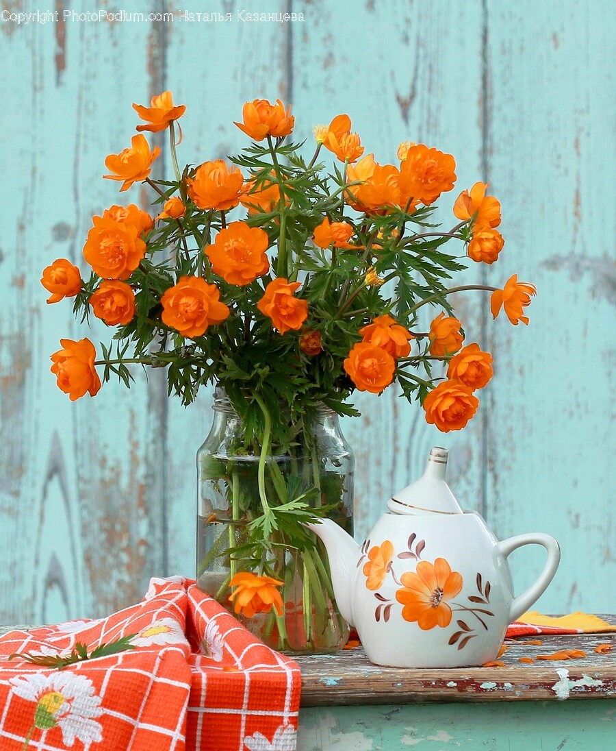 Pottery, Flower, Flower Arrangement, Plant, Cookware
