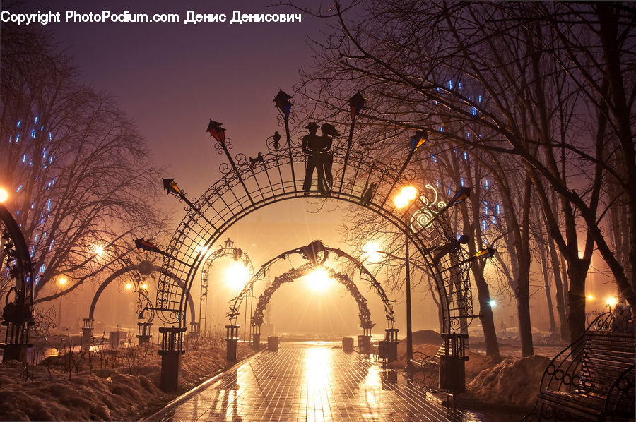 Arch, Flare, Light, Sunlight, Night, Outdoors, City