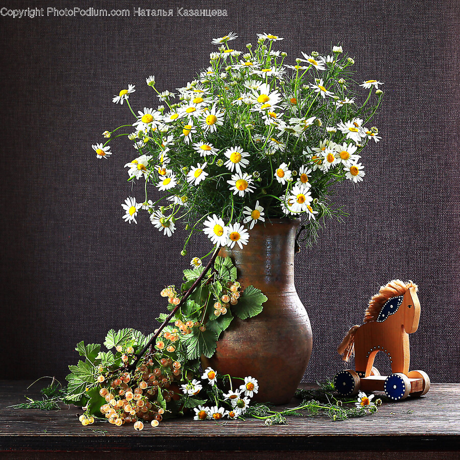 Flower, Flower Arrangement, Plant, Flower Bouquet, Daisy