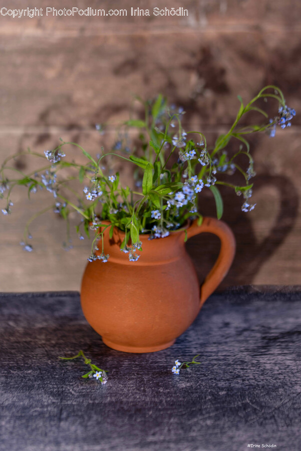 Cookware, Pot, Plant, Flower, Flower Arrangement