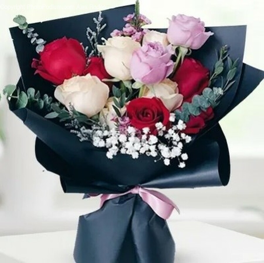 Flower, Flower Arrangement, Flower Bouquet, Plant, Rose