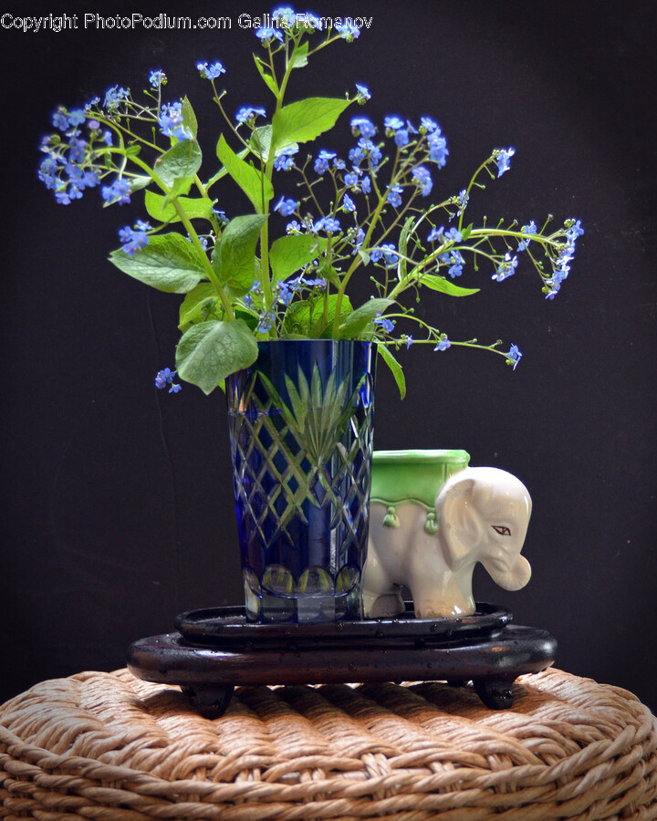 Flower, Flower Arrangement, Plant, Pottery, Ikebana