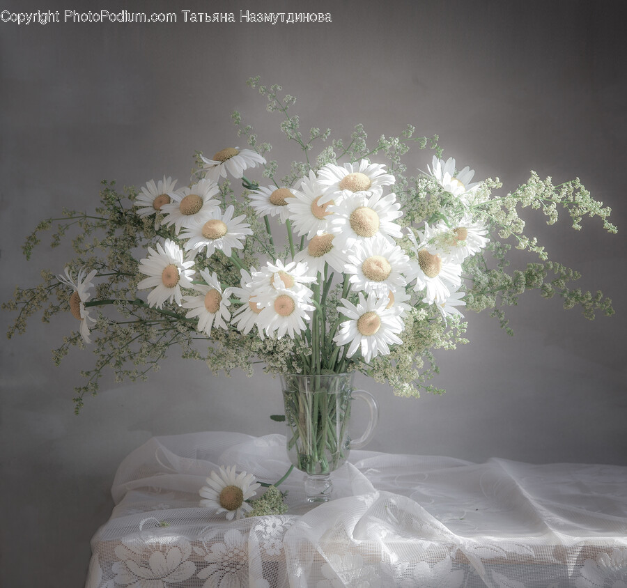 Flower, Flower Arrangement, Plant, Flower Bouquet, Daisy