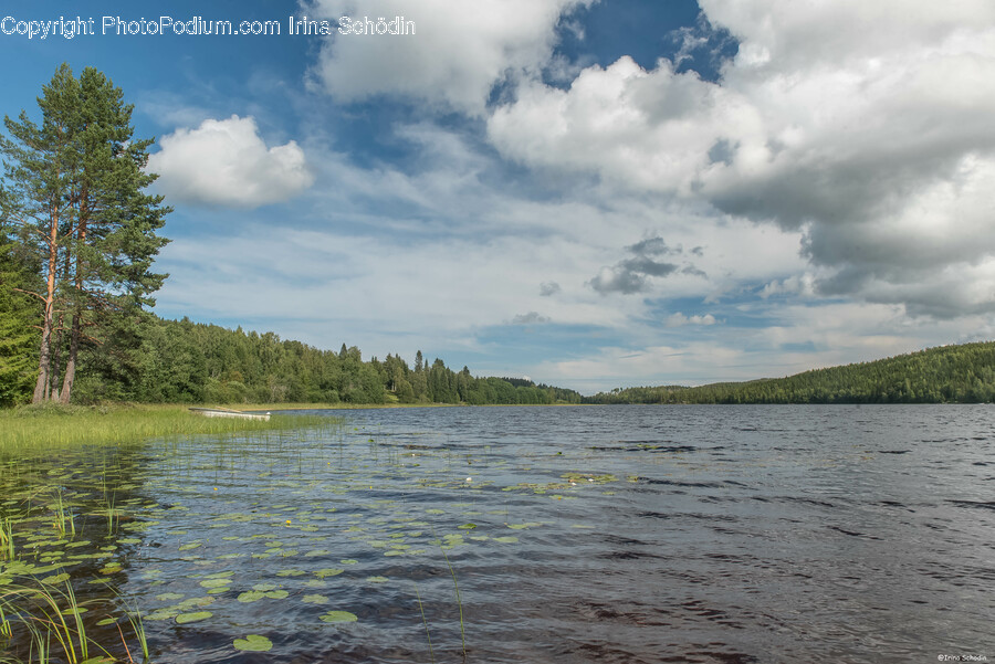 Nature, Outdoors, Scenery, Sky, Fir