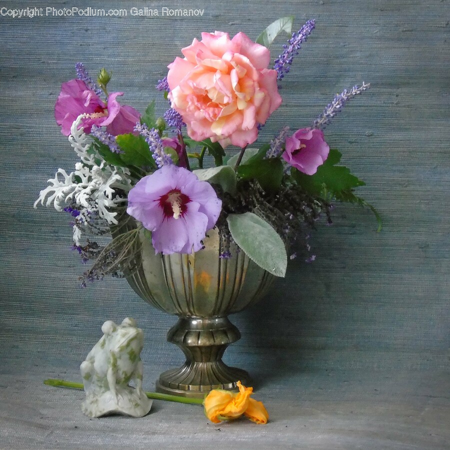 Flower, Flower Arrangement, Plant, Rose, Flower Bouquet