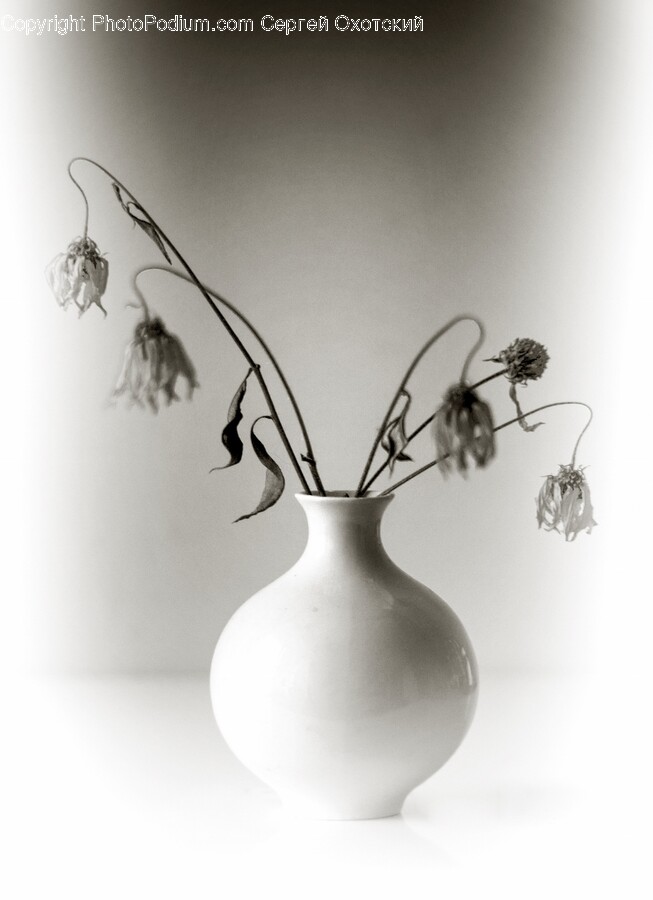 Jar, Pottery, Vase, Flower, Flower Arrangement