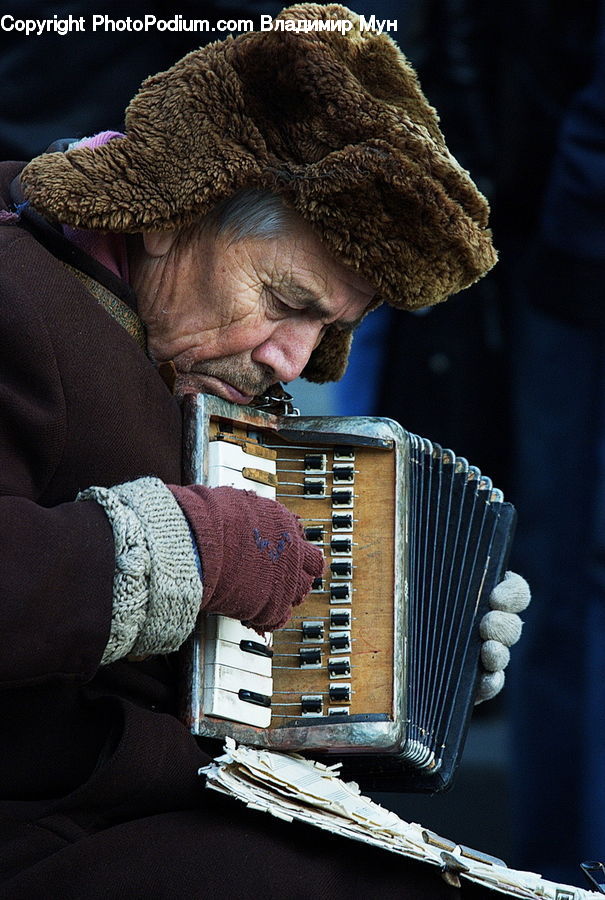 Accordion, Musical Instrument, People, Person, Human