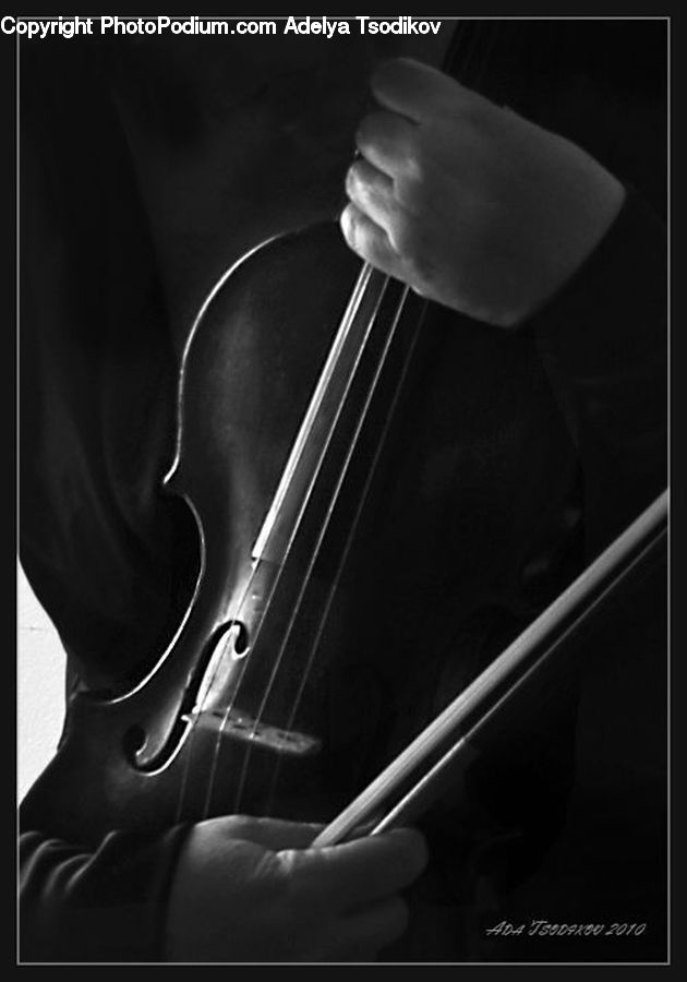 People, Person, Human, Cello, Musical Instrument, Viola