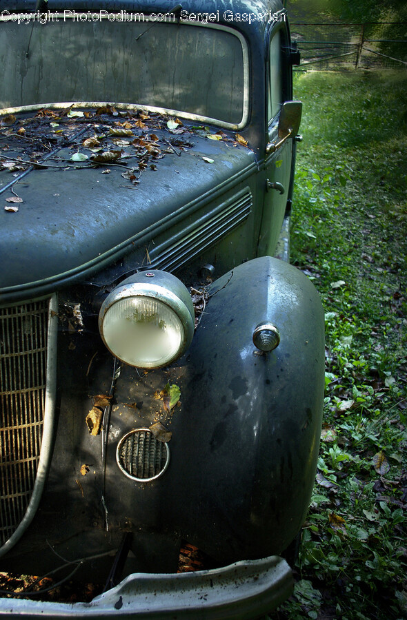 Car, Transportation, Vehicle, Headlight, Antique Car