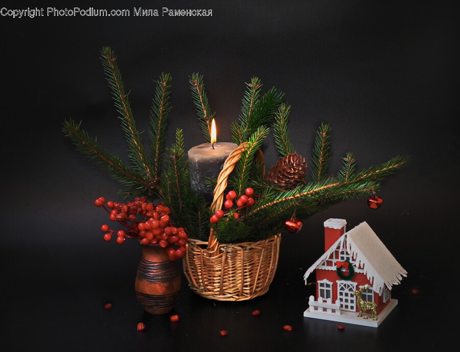 Plant, Candle, Toy, Basket, Christmas