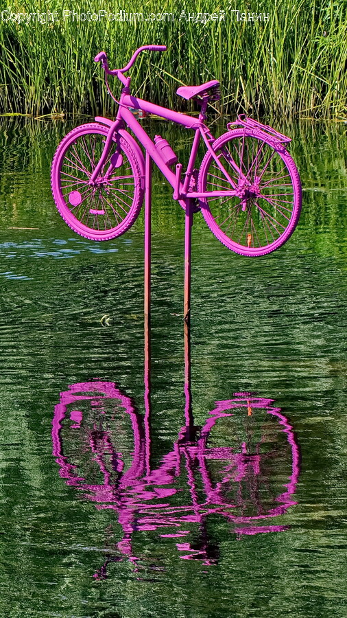 Machine, Wheel, Bicycle, Transportation, Vehicle