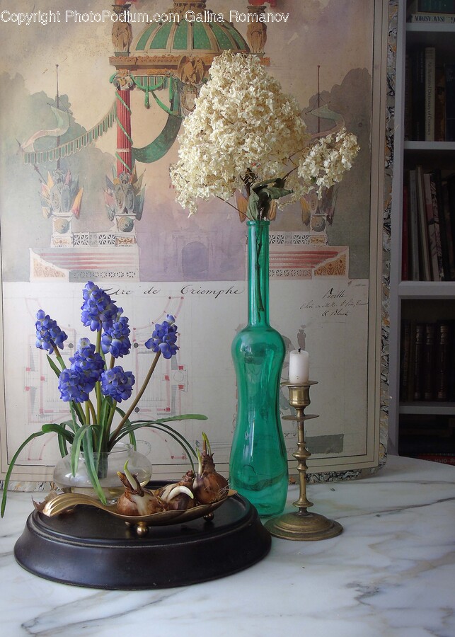 Flower, Flower Arrangement, Plant, Flower Bouquet, Jar