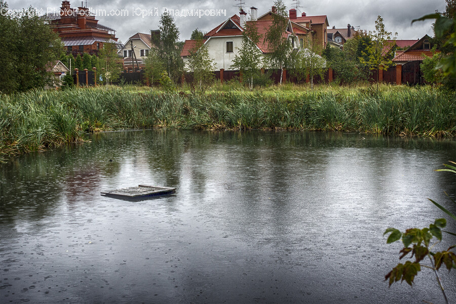 Nature, Outdoors, Pond, Water, Scenery