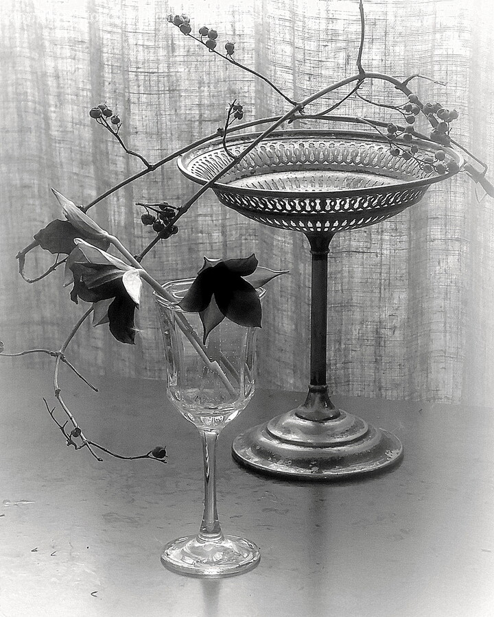Glass, Flower, Flower Arrangement, Plant, Goblet