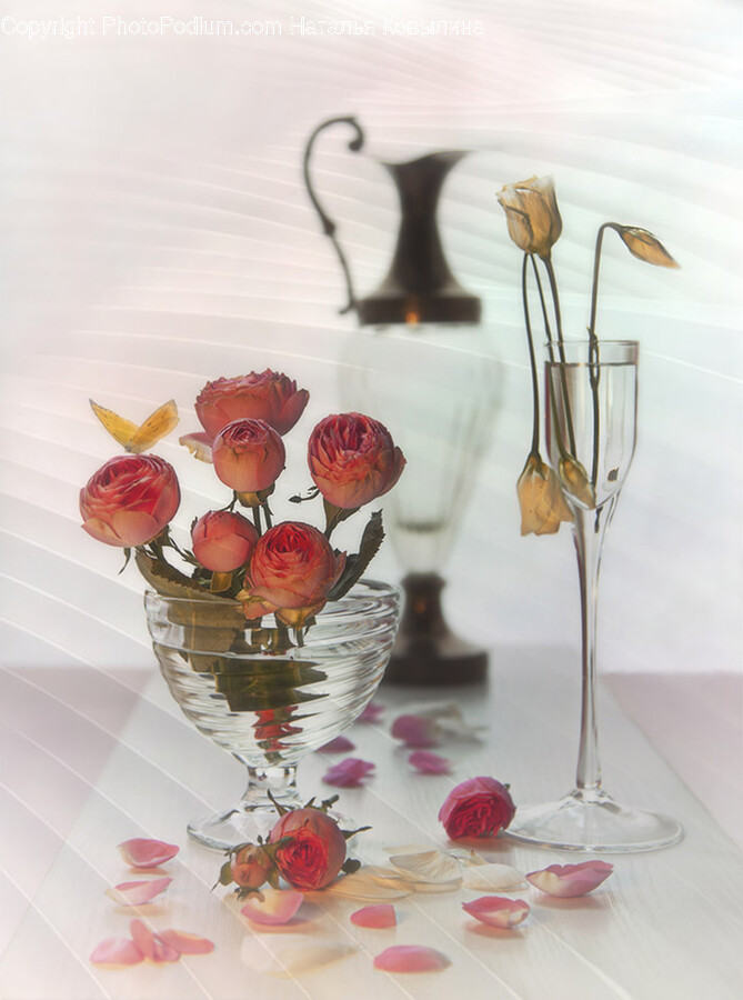 Glass, Flower, Flower Arrangement, Plant, Rose